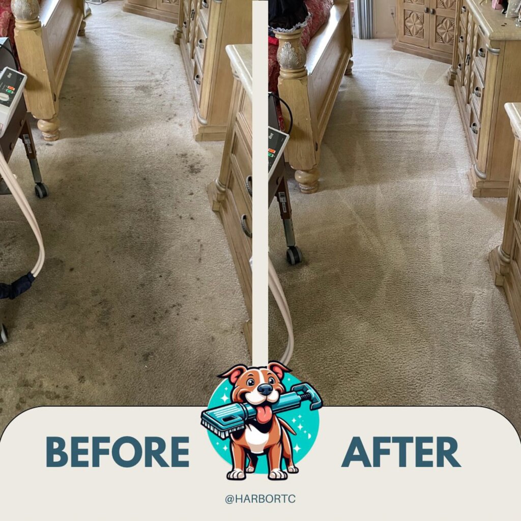 Deep Carpet Cleaning in Palm Beach County – Schedule Your Appointment Now!