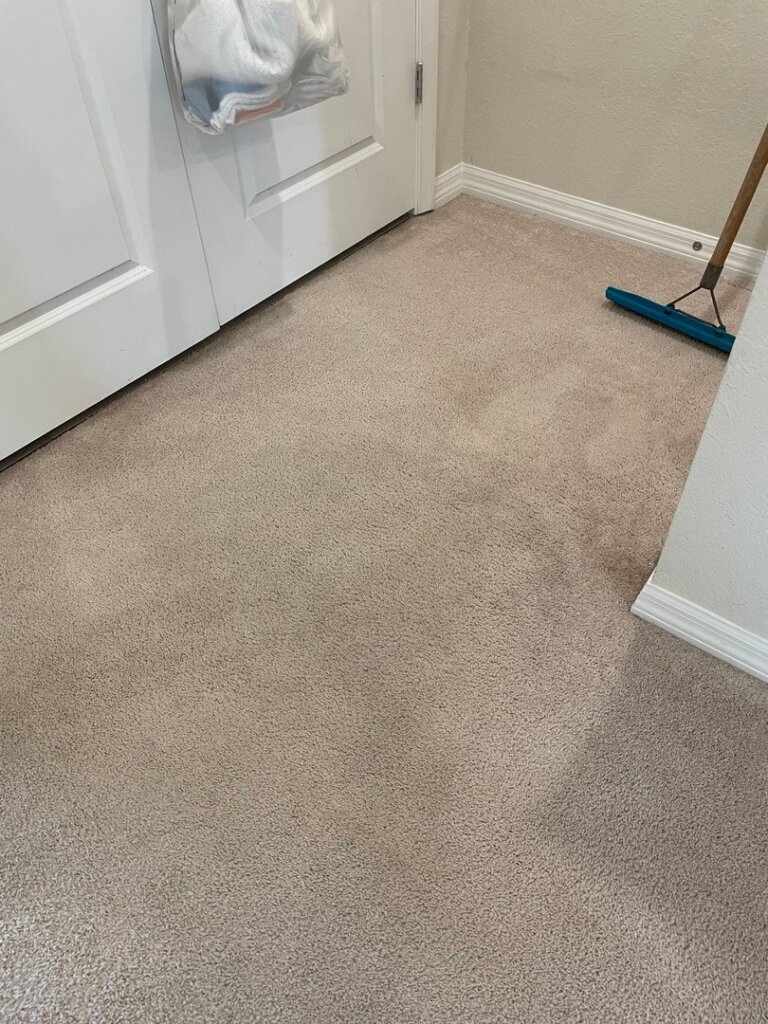 Trusted Carpet Cleaning Experts – Serving West Palm Beach & Beyond!