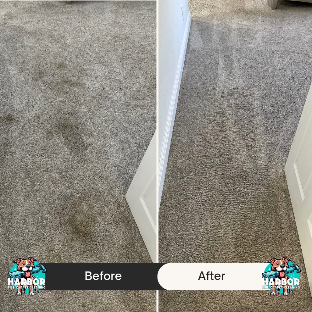 Reliable Carpet Cleaning Service – Serving Palm Beach County and Nearby Areas!
